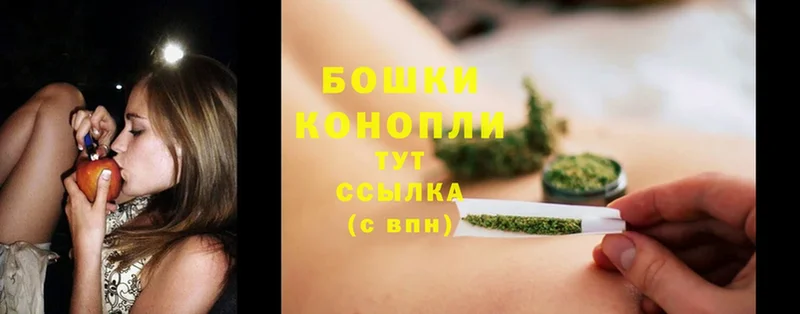 Конопля Bruce Banner  продажа наркотиков  Каменка 